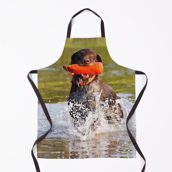 Item preview, German Wirehaired Pointer retrieving in water designed and sold by FOLK ART FUSION by heidiannemorris.