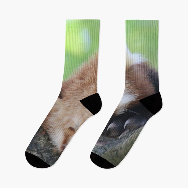 Item preview, Red Panda 003 designed and sold by JAMFoto.