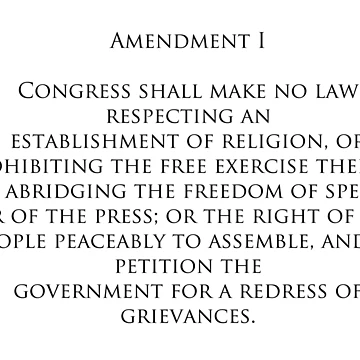 Artwork thumbnail, First amendment by Stephanie Skeem