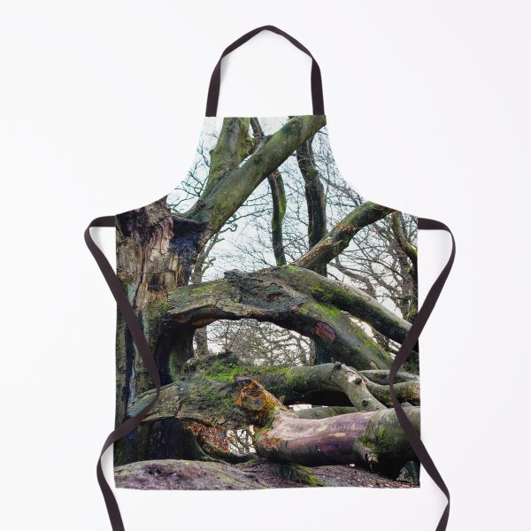Item preview, Broken Beech Tree designed and sold by FOLK ART FUSION by heidiannemorris.