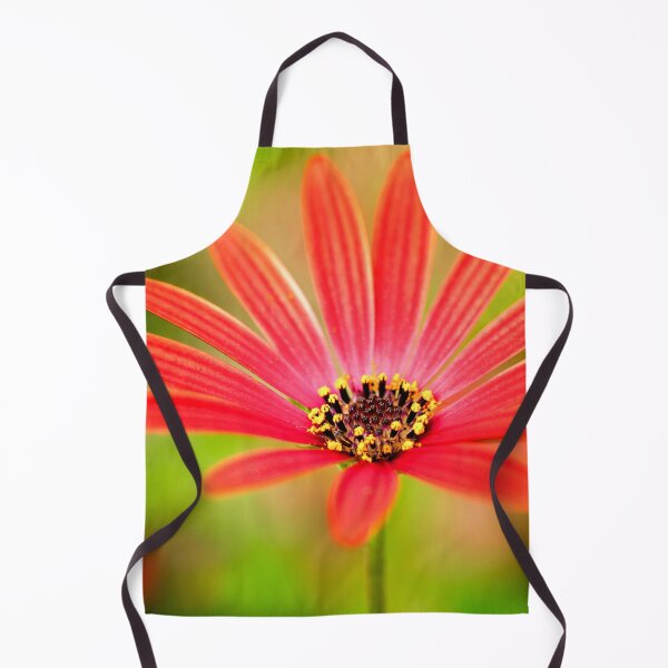 Item preview, Red Osteospermum designed and sold by FOLK ART FUSION by heidiannemorris.