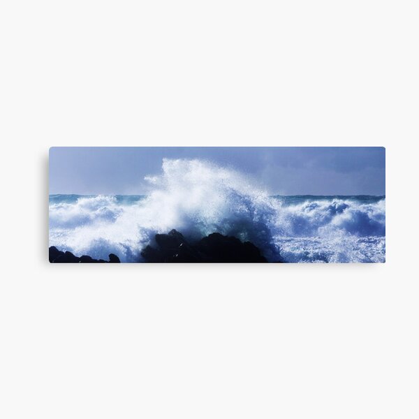 Waves 2 Canvas Print
