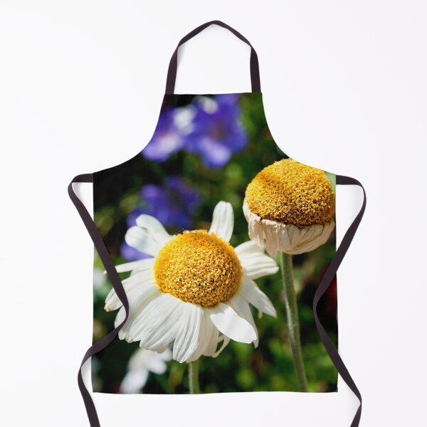 Item preview, Daisies in the afternoon sun designed and sold by FOLK ART FUSION by heidiannemorris.