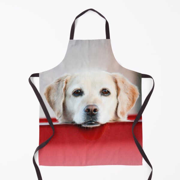 Artikelvorschau, 4 X PAW Yellow Labrador entworfen und verkauft von FOLK ART FUSION by heidiannemorris.