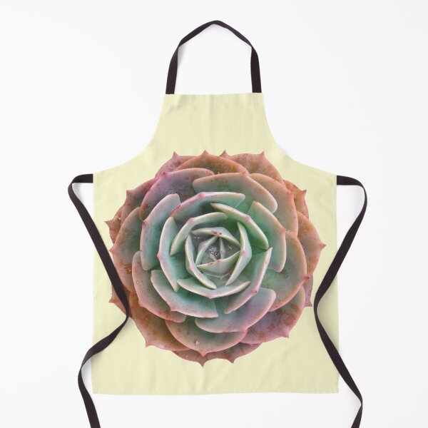 Item preview, Rosette Succulent - Echeveria Subsessilis Cool Cacti designed and sold by Fruitsome.