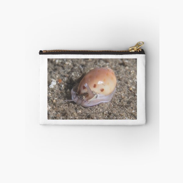 Item preview, Helmet Snail designed and sold by Mark Rosenstein.