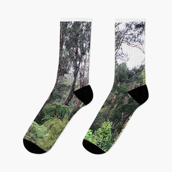 Item preview, Dandenong Ranges Rainforest, Victoria, Australia designed and sold by FranWest.