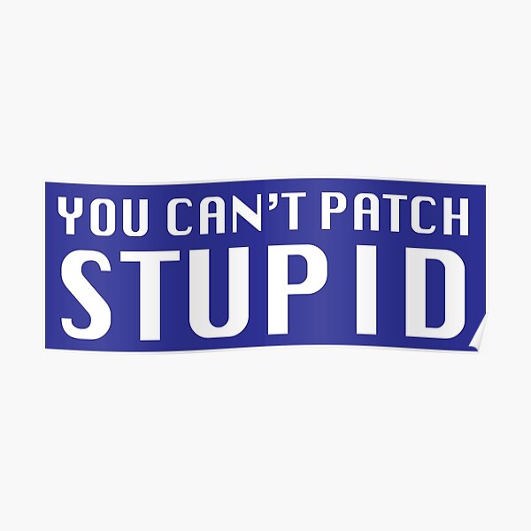You Can't Patch Stupid Poster