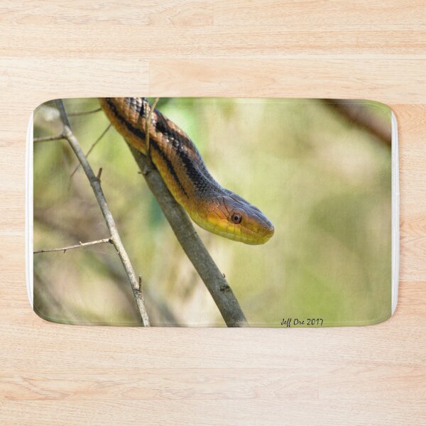 Item preview, Yellow Rat Snake (Elaphe,Obsoleta) designed and sold by Jeff Ore.
