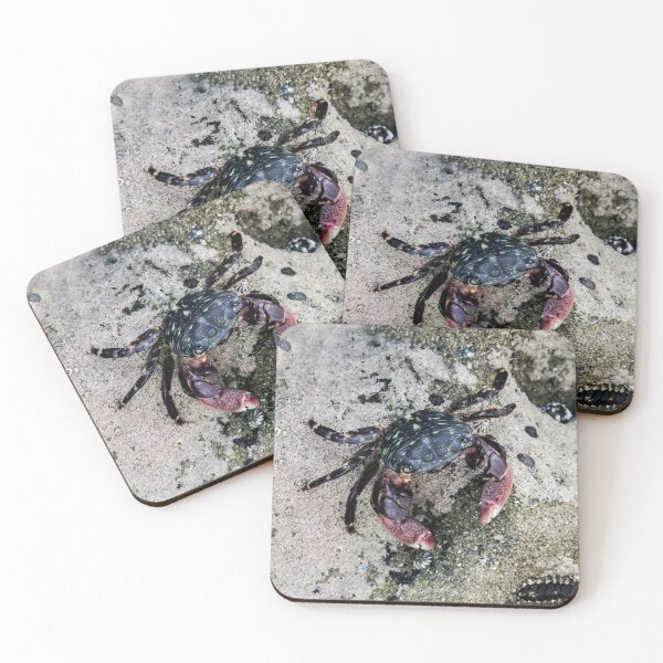 Item preview, Crab on the Sand  designed and sold by heatherfriedman.