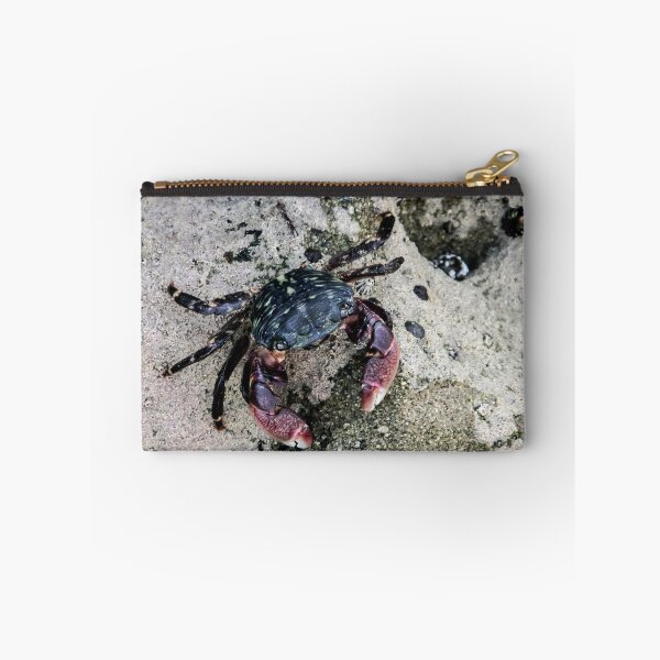 Item preview, Crab on the Sand  designed and sold by heatherfriedman.