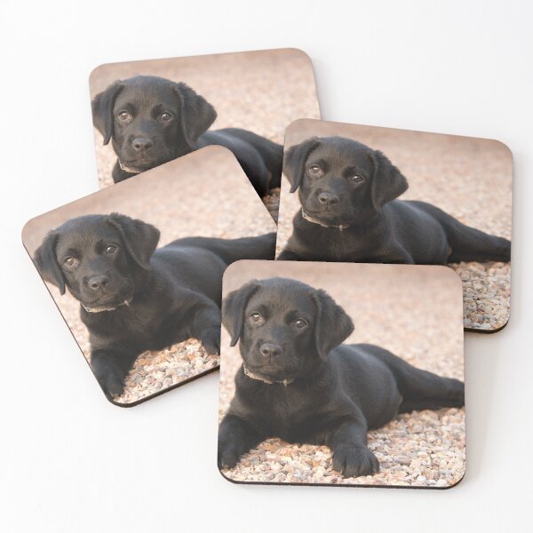 Item preview, Labrador Retriever Puppy designed and sold by George Arakelov.