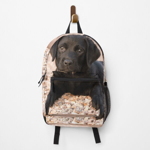 Item preview, Labrador Retriever Puppy designed and sold by George Arakelov.
