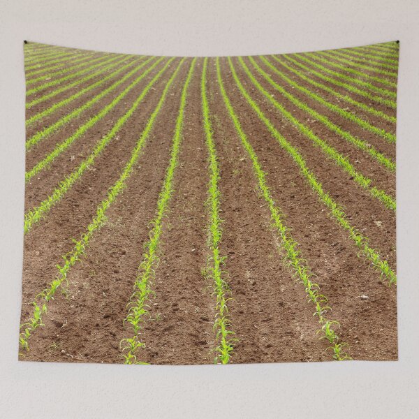 Item preview, Corn field designed and sold by Gaspar Avila.