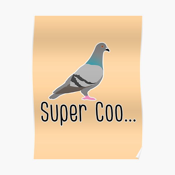 super coo funny pigeon pun Poster
