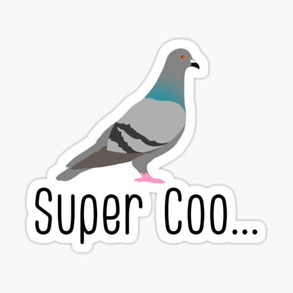 super coo funny pigeon pun Sticker