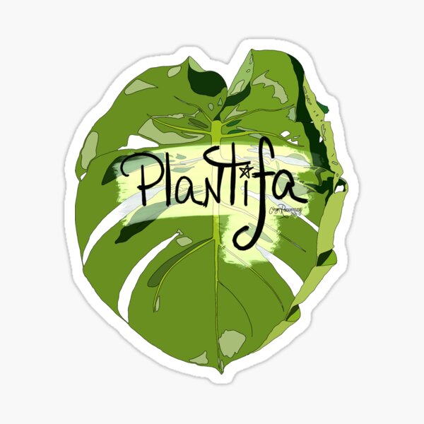 Plantifa Monstera Sticker