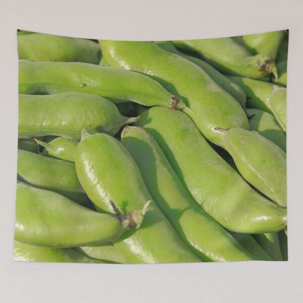 Item preview, Fava bean pods designed and sold by Gaspar Avila.