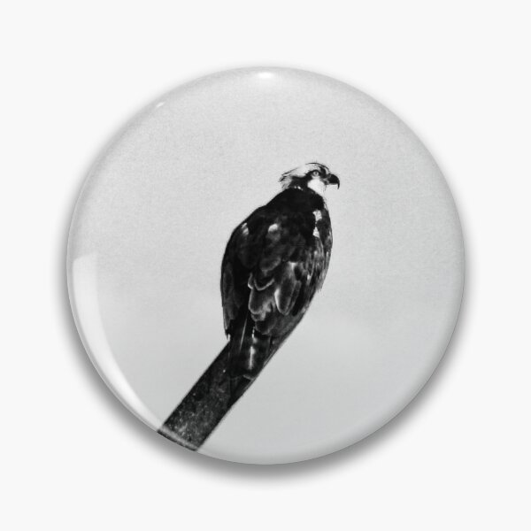 Item preview, Perching Osprey designed and sold by JMVisuals28.
