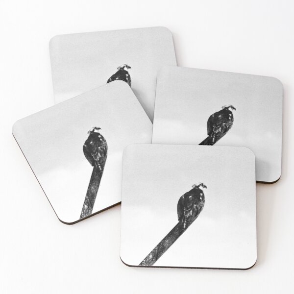 Item preview, Perching Osprey designed and sold by JMVisuals28.