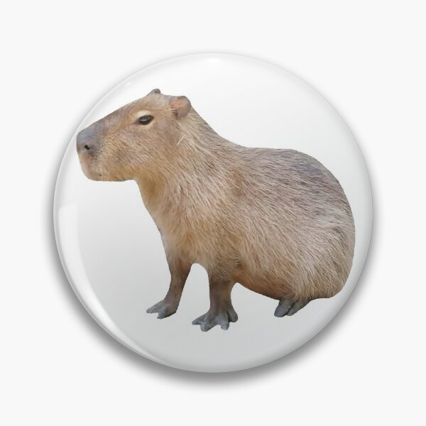 Cute Capybara Pins and Buttons for Sale