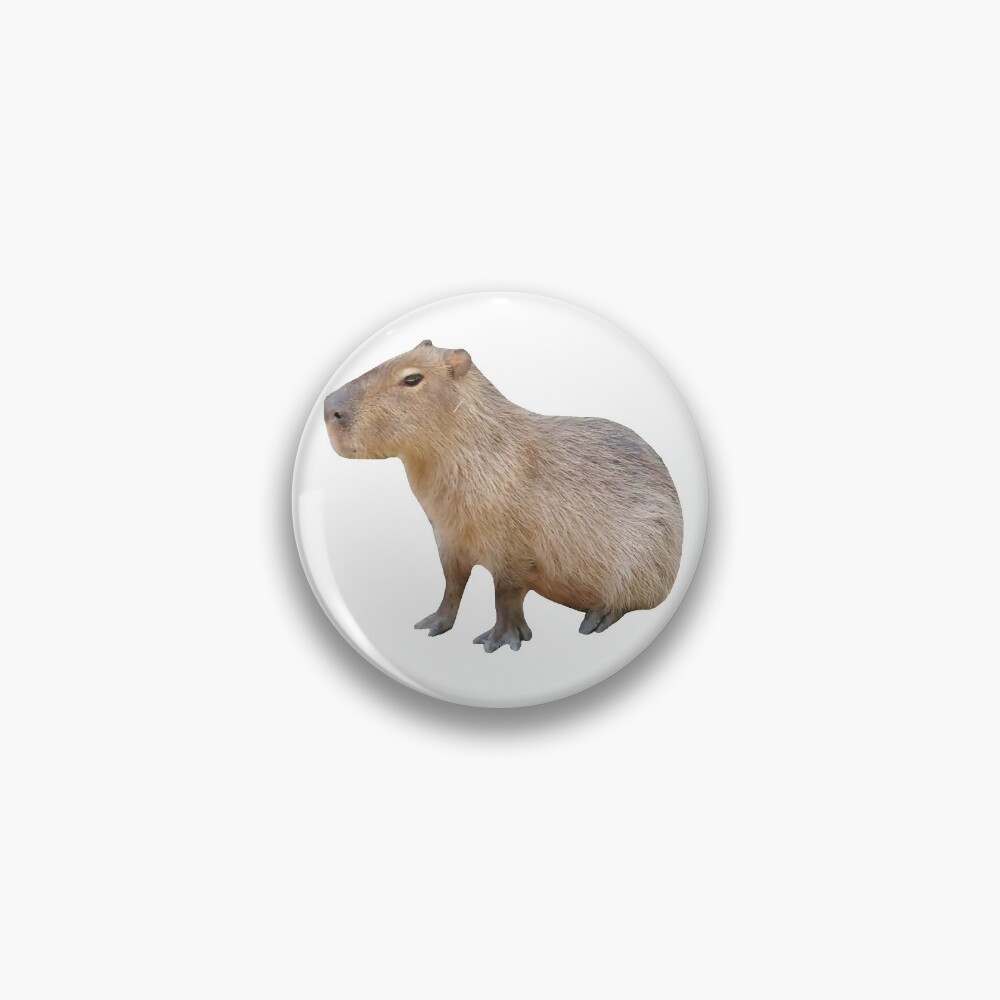 Rubber Keychain 2 Capybara Sitting 