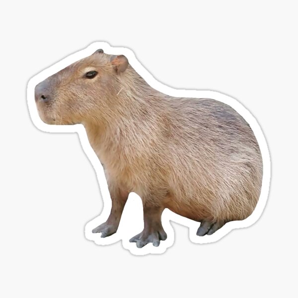 Smol Pixel Capybara Sticker for Sale by TofuPixel