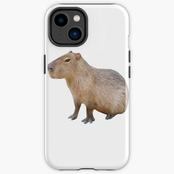 Sitting Capybara iPhone Tough Case