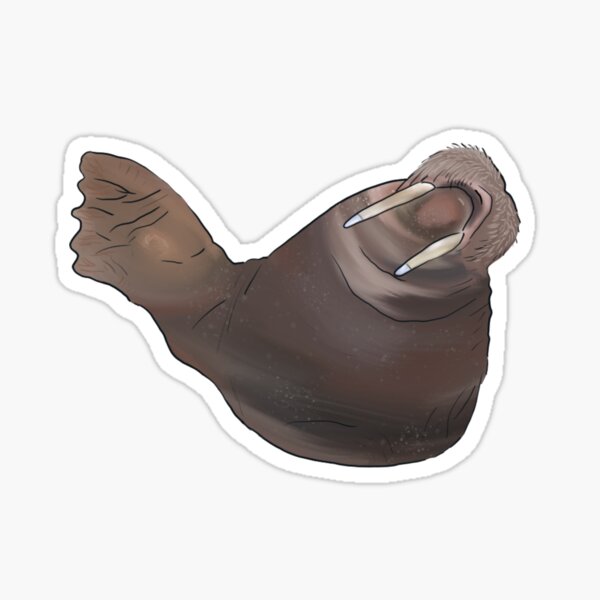 Item preview, Walrus Wave designed and sold by PtDefianceAAZK.