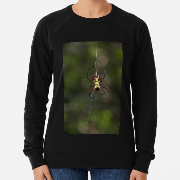 Orb weaver, Parque Nacional del Manu, Peru Lightweight Sweatshirt