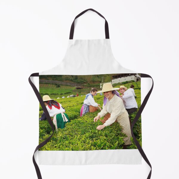 Item preview, Porto Formoso tea gardens designed and sold by Gaspar Avila.