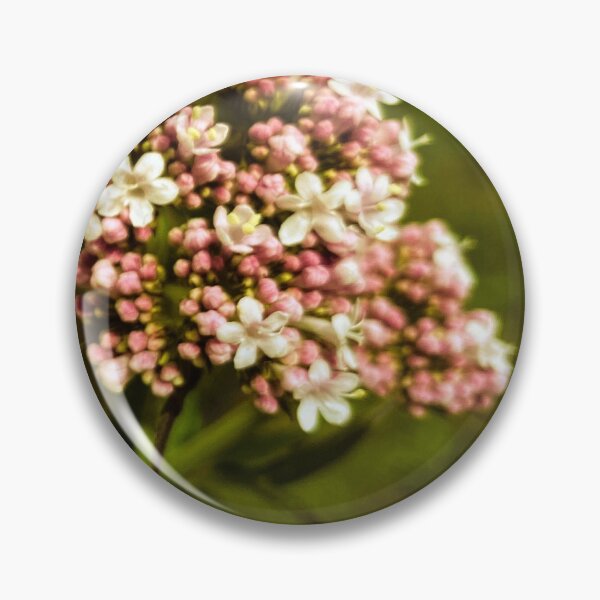 Item preview, Valerian designed and sold by anashep.