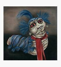 Labyrinth Worm - Oil Painting Photographic Print