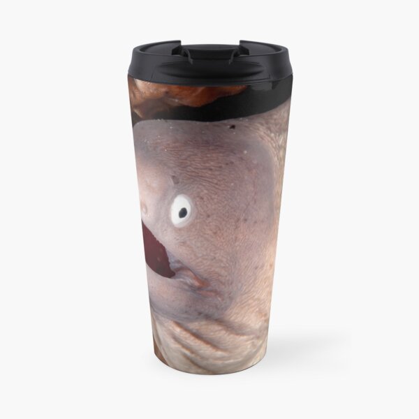 White-eyed Moray Eel, Wakatobi National Park, Indonesia Travel Mug