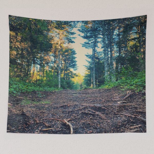 Item preview, Beaten Path designed and sold by Shop-Corsix.