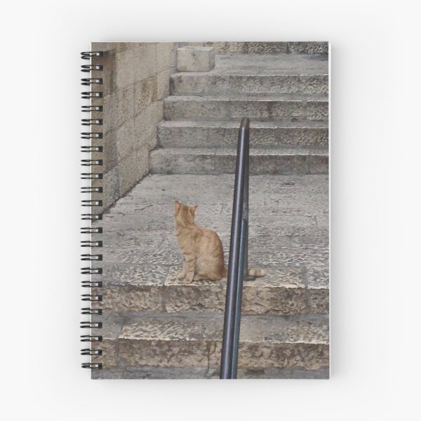 Item preview, Stray cat on the streets of Israel designed and sold by eevee135.
