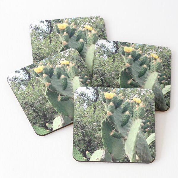 Item preview, Cactus Plant designed and sold by eevee135.