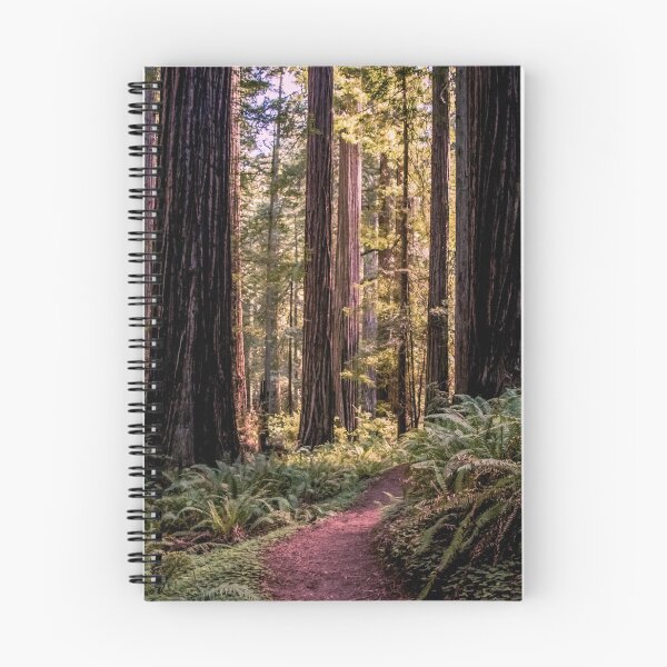 Item preview, A walk in the redwoods designed and sold by jillianbutolphphoto.