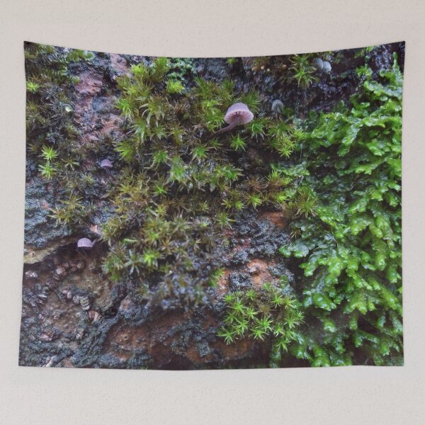 Item preview, Bark Ecosystem Oregon - 2019 designed and sold by Christopher Wheat.