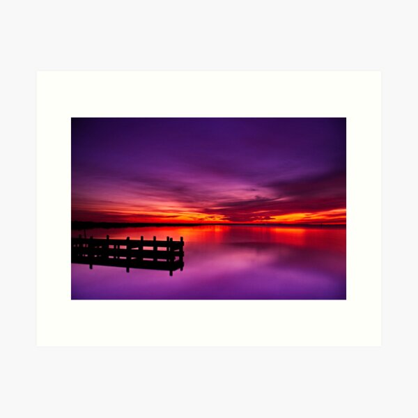 "Swan Bay Serenity" Art Print