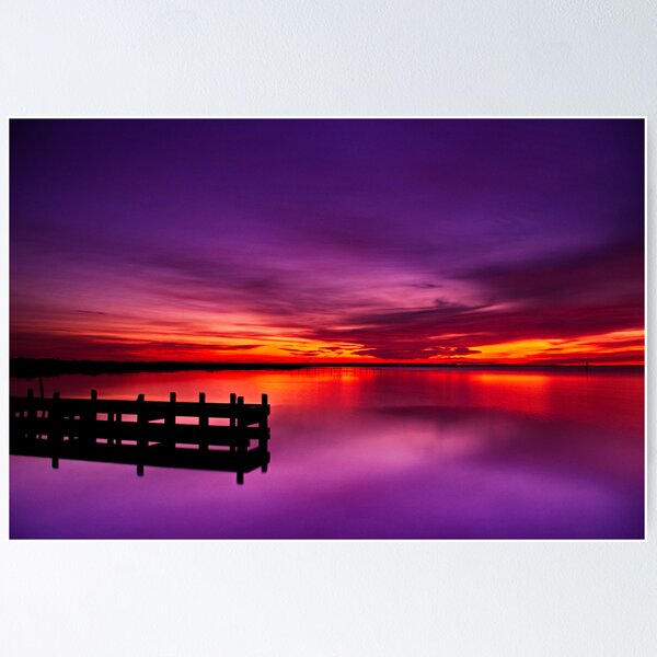 "Swan Bay Serenity" Poster