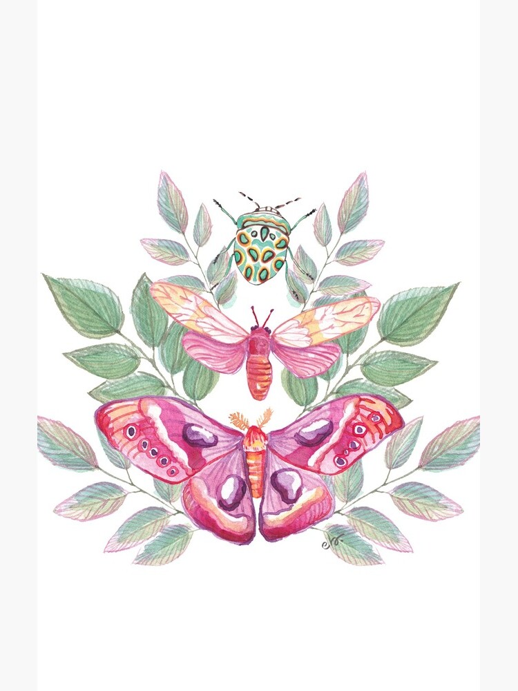 Butterflies and Beetle Magical trio pink & turquoise_watercolour by ebozzastudio