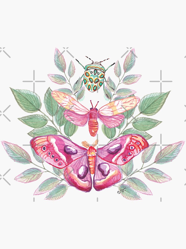 Butterflies and Beetle Magical trio pink & turquoise_watercolour by ebozzastudio
