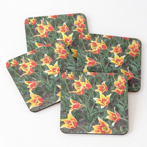 Item preview, PIttsburg University Flowers Kansas - 2018 designed and sold by Christopher Wheat.