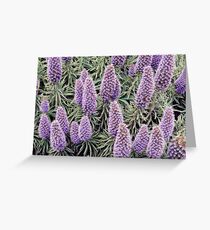 Lupin Heaven Greeting Card