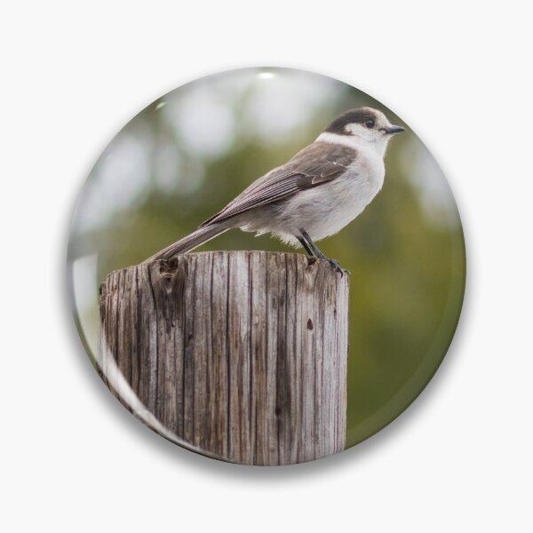 Item preview, Majestic Sparrow atop wooden post designed and sold by KennethAscheri.
