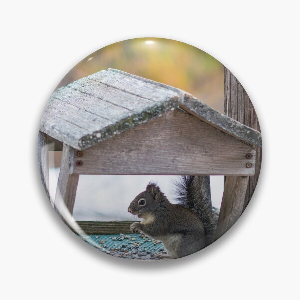 Item preview, Squirrel nibbles designed and sold by KennethAscheri.