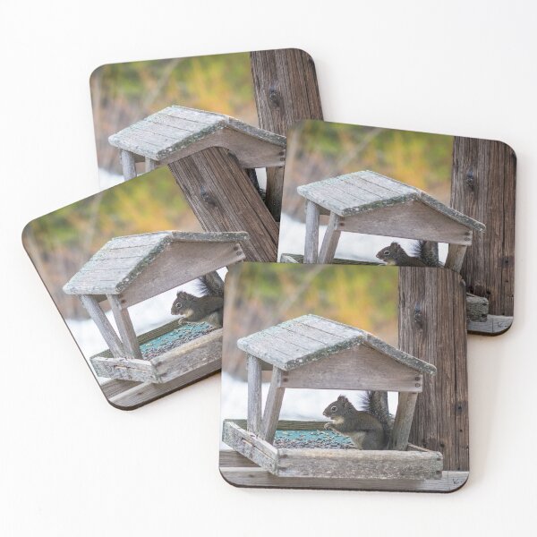 Item preview, Squirrel nibbles designed and sold by KennethAscheri.