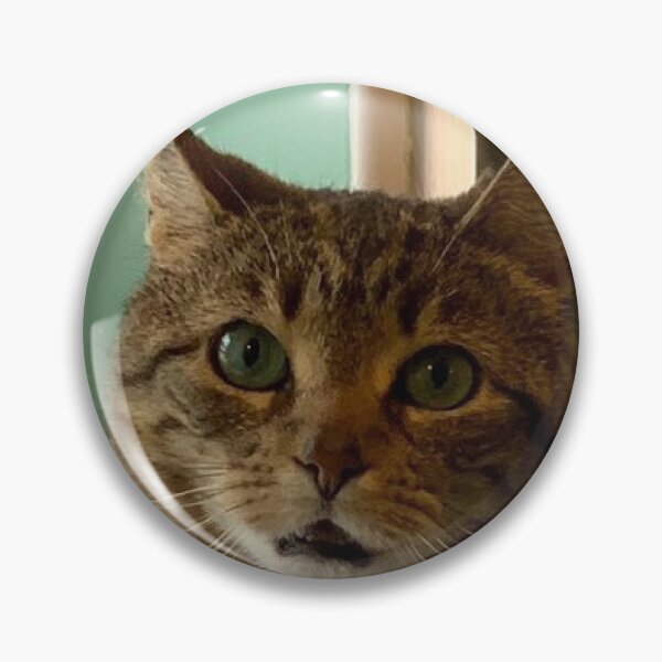 Item preview, moppy cat in a circle designed and sold by cgnewman00.