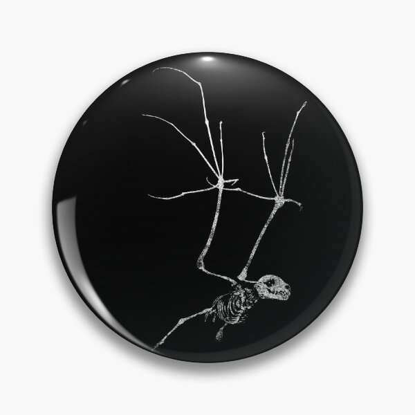 Item preview, Bat Skeleton designed and sold by Chad Savage.